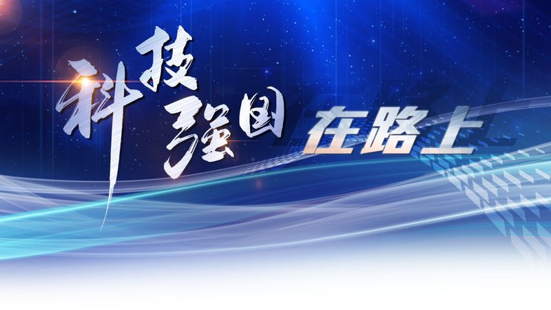 软件定制开发：技术选型背后的逻辑与考量
