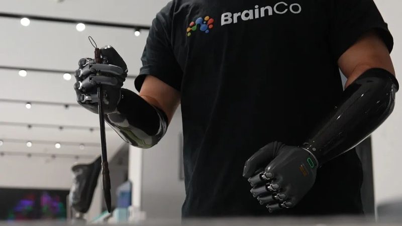 高新技术企业人员学历占比计算：关键步骤与注意事项